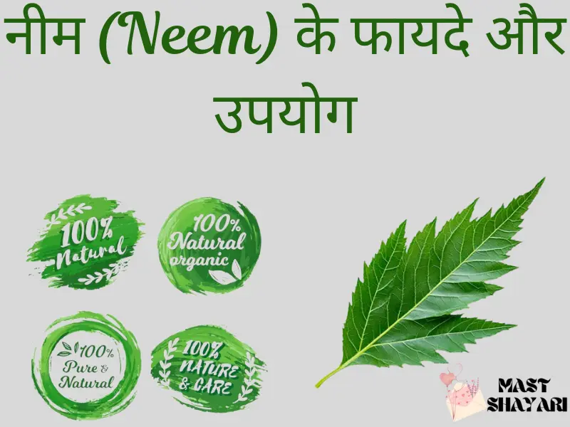 Neem benefits for skin