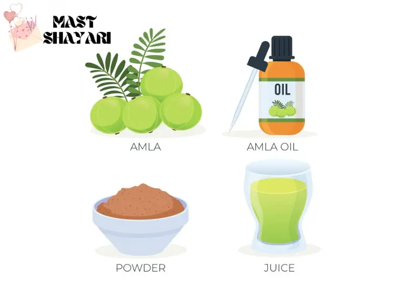 amla khane ke fayde in hindi