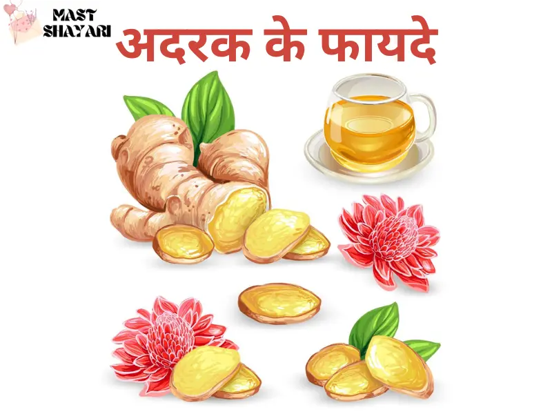 अदरक के फायदे